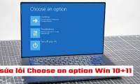 [Good tips] Instructions for fixing errors Choose an option Win 10+11